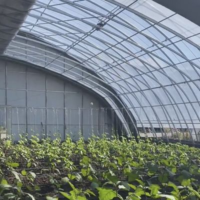 Προσαρμόσιμο φυτικό υδροπονικό σύστημα θερμοκηπίου για αποτελεσματικότητα πολλαπλών χρονικών διαστήσεων