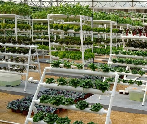 Χειροκηπίο με σχήμα στέγης με υδροπονικό σύστημα εντός του προϋπολογισμού σας