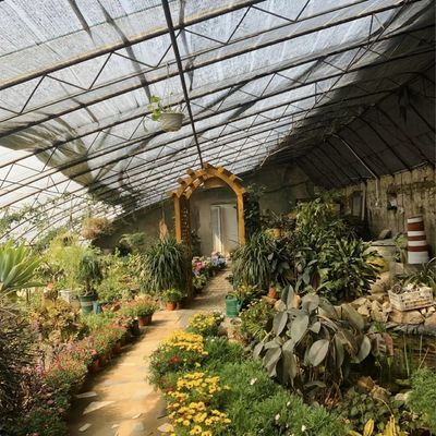 Πακέτο Ακαθάριστο βάρος 100.000kg Υδροπονικό θερμοκήπιο άνθρακα φράουλας με κάλυψη με φιλμ