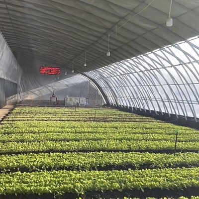 Βελτιστοποίηση της ανάπτυξης με ηλιακό φως και ψεκαστική άρδευση Φυτέψιμο φυτών θερμοκήπιο