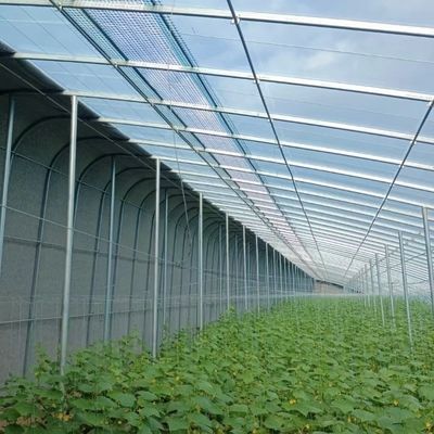 Βελτιστοποίηση της ανάπτυξης με ηλιακό φως και ψεκαστική άρδευση Φυτέψιμο φυτών θερμοκήπιο