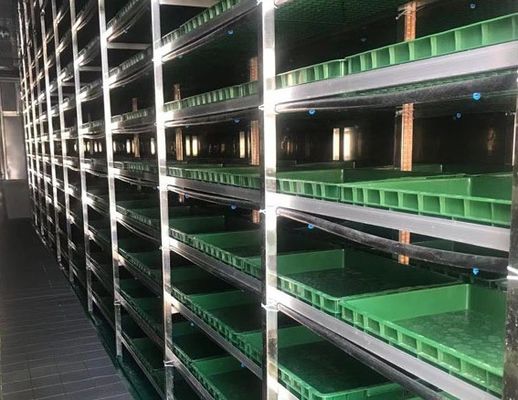 Ευφυής έλεγχος της θερμοκρασίας Juxiang φυλλώδη λαχανικά δοχείο σπίτι μέθοδος θέρμανσης