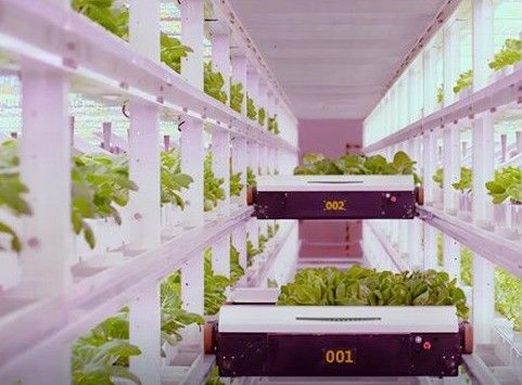 Φυτώδη λαχανικά Shipping Container Garden με σχήμα οροφής και επιλογή προσαρμογής