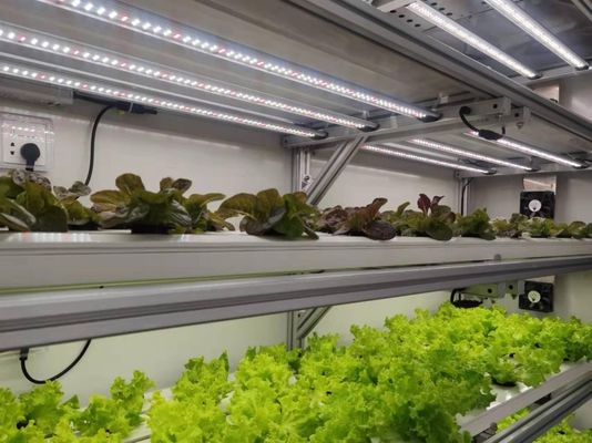 Σιδηροδρομική δομή Πολυδιάστατος Juxiang Εμπορευματικό κοντέινερ θερμοκήπιο για την καλλιέργεια λαχανικών