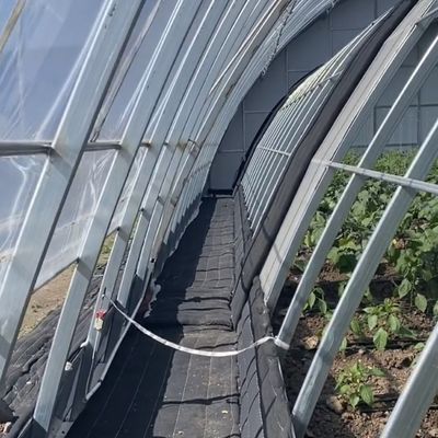 Αρχική πληρωμή Εμπορικό θερμοκήπιο για την παραγωγή λουλουδιών και λαχανικών με ηλιακό φως
