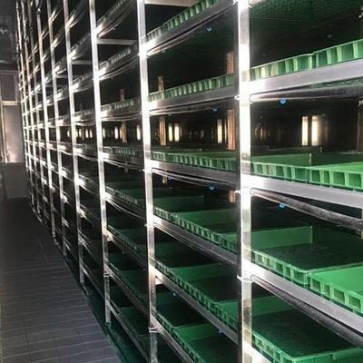 Πολυδιάστατο θερμοκήπιο JX-CG-12 για φυλλώδη λαχανικά εντός του προϋπολογισμού σας