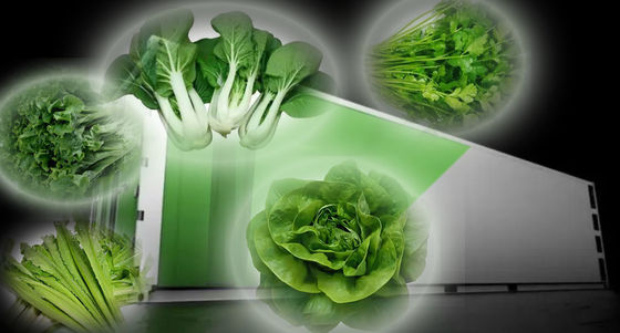 Juxiang 40hq Reefer Container Greenhouse Κόστος αποστολής και εκτιμώμενος χρόνος παράδοσης