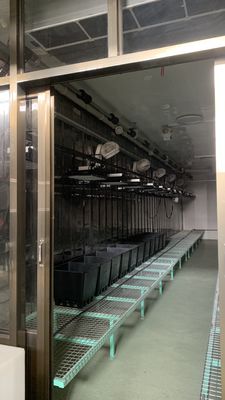 Juxiang 40hq Reefer Container Greenhouse Κόστος αποστολής και εκτιμώμενος χρόνος παράδοσης