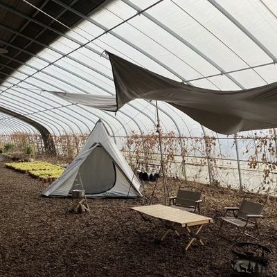 Πλήρης πληρωμή Μία στρώση υδροπονική λουλούδια ηλιακό θερμοκήπιο για την αρχική πληρωμή σας