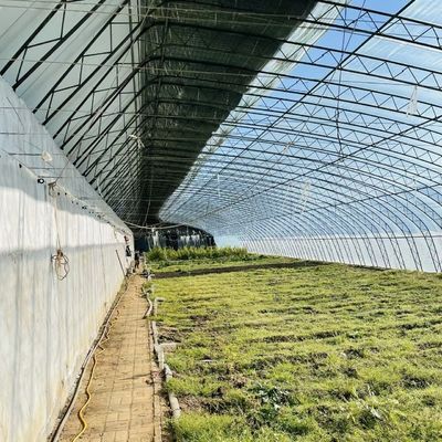 Πλήρης πληρωμή Μία στρώση υδροπονική λουλούδια ηλιακό θερμοκήπιο για την αρχική πληρωμή σας