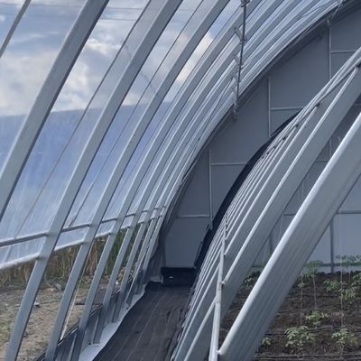 Πακέτο Ακαθάριστο βάρος 100.000kg JX-A00215 Υδροπονική Φυτοκαλλιέργεια Φυτικά προϊόντα