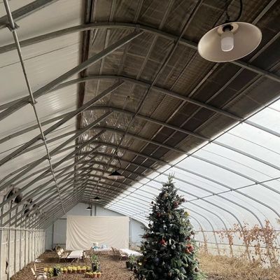 Πακέτο Ακαθάριστο βάρος 100.000kg JX-A00215 Υδροπονική Φυτοκαλλιέργεια Φυτικά προϊόντα