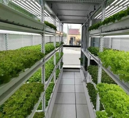 US 9.99/τμήμα JX-H0032 Σημερινό υδροπονικό εμπορευματοκιβώτιο θερμοκήπιο για λαχανικά