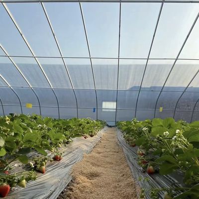 Φυτέψιμο λουλουδιών Ηλιακό φως θερμοκήπιο με χάλυβα διπλά ή μονόστρωμα
