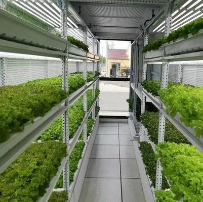 Χάλυβα Υλικό κάλυψης Υδροπονική κάθετη γεωργική σύστημα δοχείων για σχήμα στέγη