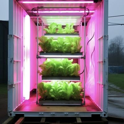 18000.000kg Πακέτο θερμοκηπίου για φυλλώδη λαχανικά Ακαθάριστο βάρος και εύκολη επιστροφή