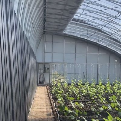 Σπάρι Ρίπανση Σπόροι Ηλιακό φως θερμοκήπιο ΗΠΑ 20 / τετραγωνικό μέτρο με προσαρμογή