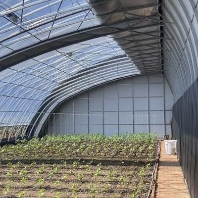 Πολλαπλό διάστημα Aquaponics υδροπονικό σύστημα καλλιέργειας για το νόμισμα των ΗΠΑ στο θερμοκήπιο ηλιακό φως