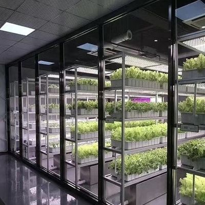 Κλιμακώδεις δοχεία για την καλλιέργεια φυλλωδών λαχανικών