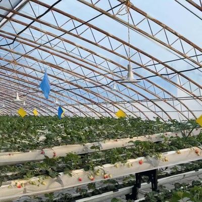 Κόστος αποστολής και εκτιμώμενος χρόνος παράδοσης για εμπορικό θερμοκήπιο υδροπονικής σποράς