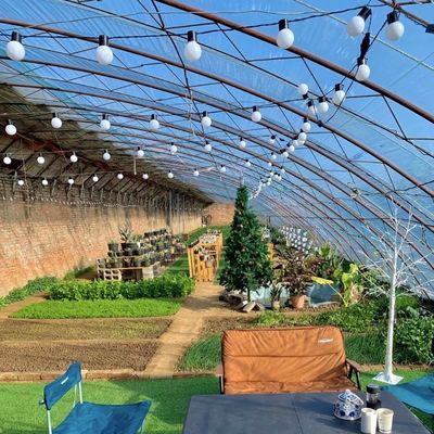 Πακέτο Ακαθάριστο βάρος 100.000kg Ηλιακό φως θερμοκηπίο σταγόνα άρδευση για την φύτευση λουλουδιών