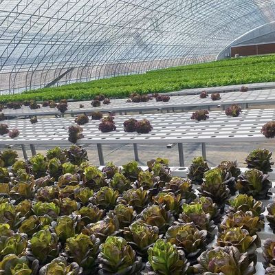 Πακέτο Ακαθάριστο βάρος 100.000kg Ηλιακό φως θερμοκηπίο σταγόνα άρδευση για την φύτευση λουλουδιών