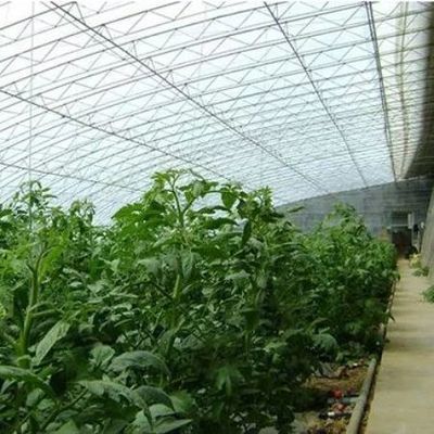 Προηγμένο σύστημα ελέγχου υγρασίας και ηλιακού φωτός για λαχανικά σε εμπορικά θερμοκήπια