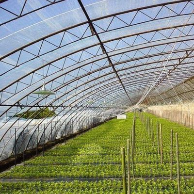 Βελτιωμένο σύστημα άρδευσης για το θερμοκήπιο με ηλιακό φως αγγούρι 1 τετραγωνικό μέτρο Min.Order