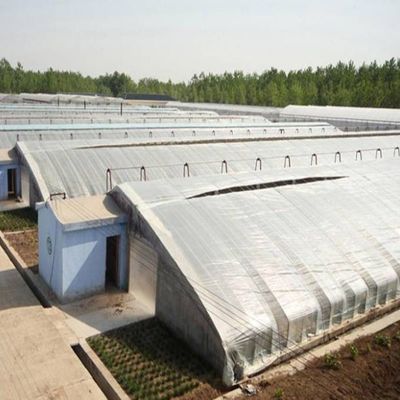 2000.000kg Συσκευή Ακαθάριστο βάρος Προηγμένο σύστημα θερμοκηπίου καλλιέργειας λαχανικών με ηλιακό φως