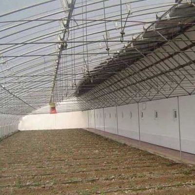 2000.000kg Συσκευή Ακαθάριστο βάρος Προηγμένο σύστημα θερμοκηπίου καλλιέργειας λαχανικών με ηλιακό φως