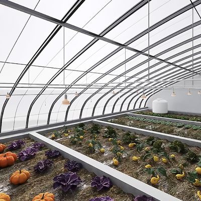 2000.000kg Εμπορικό θερμοκήπιο ηλιακού φωτός της Juxiang για την καλλιέργεια φράουλας jx-sg-108