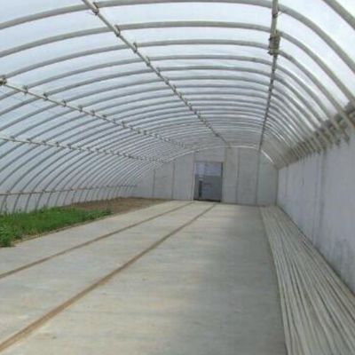 2000.000kg Εμπορικό θερμοκήπιο ηλιακού φωτός της Juxiang για την καλλιέργεια φράουλας jx-sg-108
