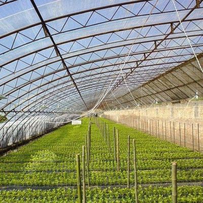 2000.000kg Καλλιέργεια ντομάτας και αγγουριού Ηλιακό φως Φιλοξενούμενο θερμοκηπίο με κεκλιμένη οροφή