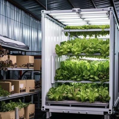 Γεωργείο δοχείου Reefer για φυλλώδη λαχανικά