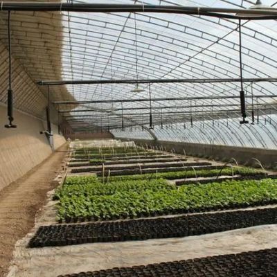 Η μεγάλης κλίμακας καλλιέργεια αγγούρων διευκολύνεται με εμπορικό θερμοκήπιο με ελεγχόμενη υγρασία