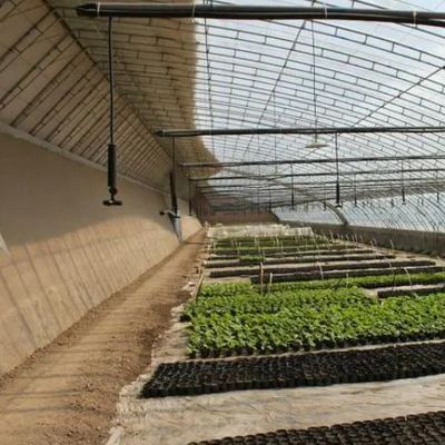Καλλιέργεια ντομάτας Ηλιακό θερμοκήπιο με έλεγχο υγρασίας και έλεγχο θερμοκρασίας