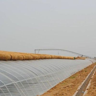 Προηγμένη καλλιέργεια λαχανικών Ηλιακό φως θερμοκήπιο 40HQ Reefer δοχείο για ανώτερο