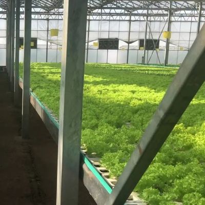 Βερτικάλια γεωργία Ναυτιλιακό κοντέινερ θερμοκήπιο με υδροπονική και χάλυβα δομή