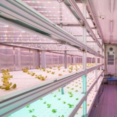 Επικάλυψη εμπορικών εμπορευματοκιβωτίων με εμπορικό θερμοκήπιο και σχεδιασμό πολλαπλών διαστάσεων