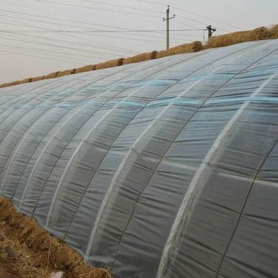 Εμπορικό φυτώριο ντομάτας Ηλιακό θερμοκήπιο για βέλτιστη παραγωγή καλλιεργειών