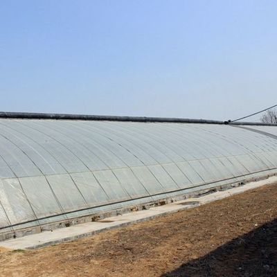 Χάλυβα δομή/Τείχος υγρασίας-ελεγχόμενο θερμοκήπιο ηλιακού φωτός για την καλλιέργεια λαχανικών