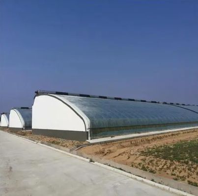 Αυτοματοποιημένη άρδευση Juxiang ηλιακό θερμοκήπιο για λαχανικά εξαερισμός και σκιά