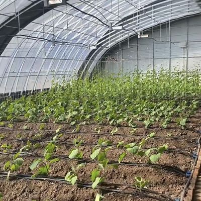 Αυτοματοποιημένη άρδευση Juxiang ηλιακό θερμοκήπιο για λαχανικά εξαερισμός και σκιά