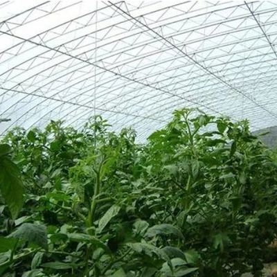 Σύστημα άρδευσης Ηλιακό φως θερμοκήπιο για λαχανικά