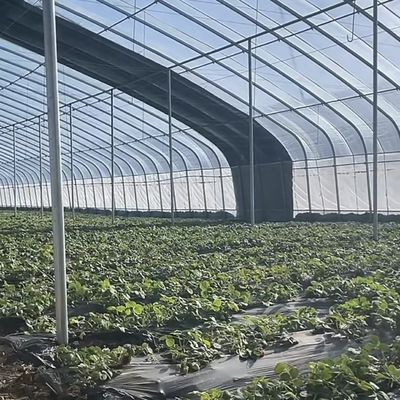 Προχωρημένο θερμοκήπιο με ηλιακό φως για φυτά με έλεγχο υγρασίας και βέλτιστη ανάπτυξη φυτών