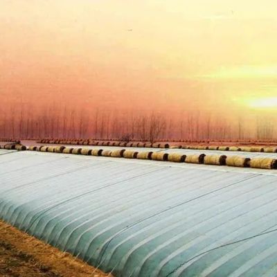 Πακέτο Ακαθάριστο βάρος 2000.000kg Ελαφρύ θερμοκήπιο ηλιακού φωτός για την καλλιέργεια λαχανικών