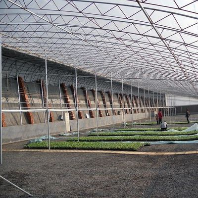 1209.00cm * 235.00cm * 239.00cm Τομάτα και Αγγούρι Φύτευση ηλιακό θερμοκήπιο για σας
