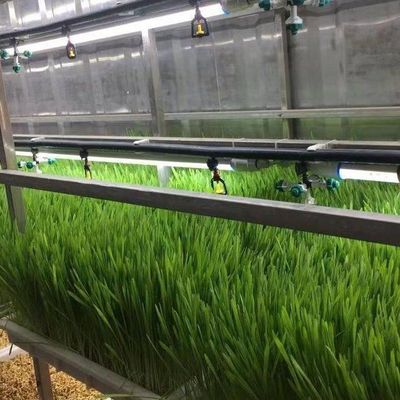 Βιότοπος θερμοκηπίου εμπορευματοκιβωτίου σε πλοίο