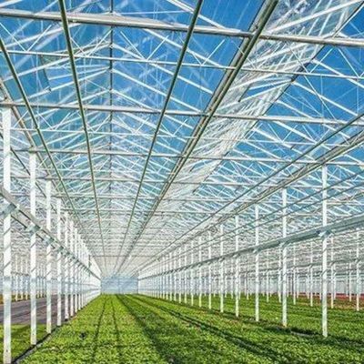 Προσαρμογή θερμοκηπίου τύπου γυαλιού Venlo με εξωτερικό σύστημα σκιάσης