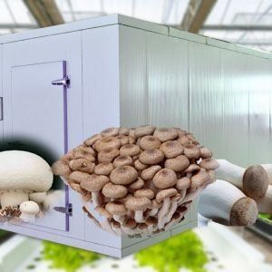 Υψηλής υγρασίας κάθετη γεωργία υδροπονική θερμοκήπιο για λαχανικά